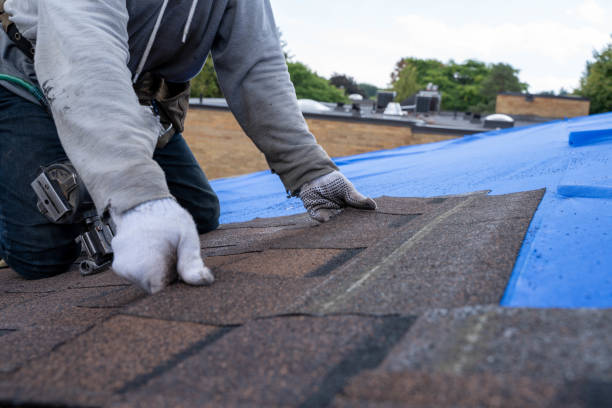 Roof Installation Near Me in Dalton, OH